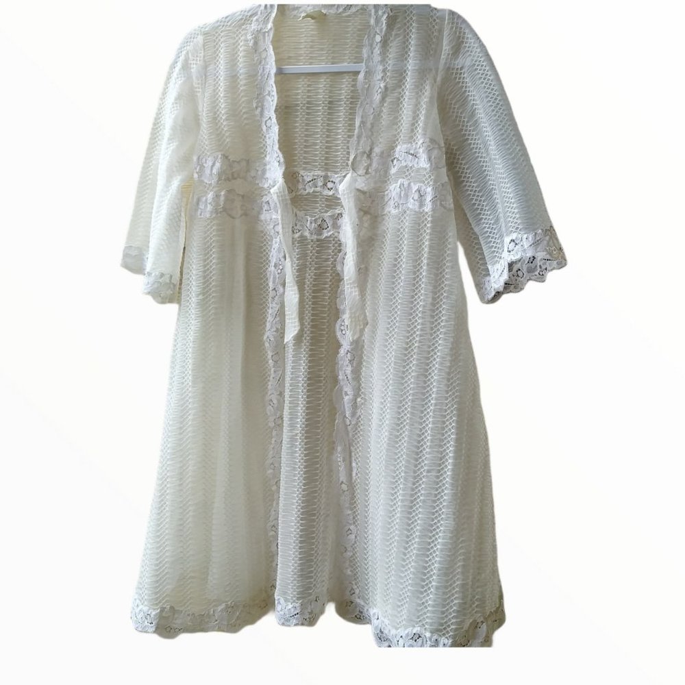 1950s Eyeful by the Flaums Sheer Robe